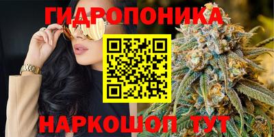 хмурый Кандалакша