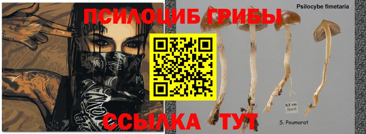 Галлюциногенные грибы мухоморы Лесозаводск