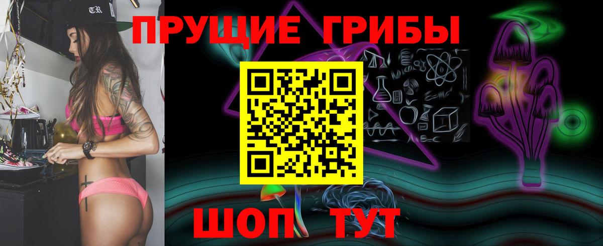 Лесозаводск  Галлюциногенные грибы Psilocybine cubensis  Вход с VPN 